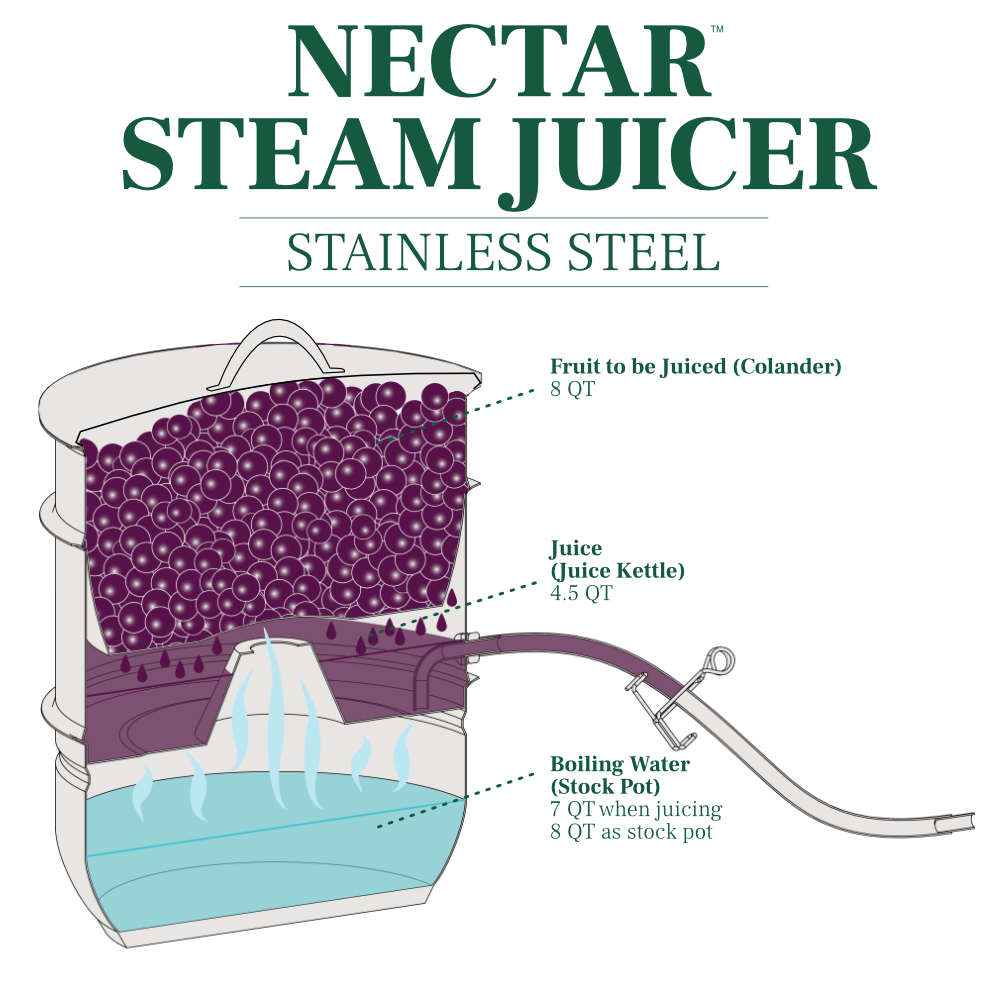 Nectar Stainless Steel Steam Juicer