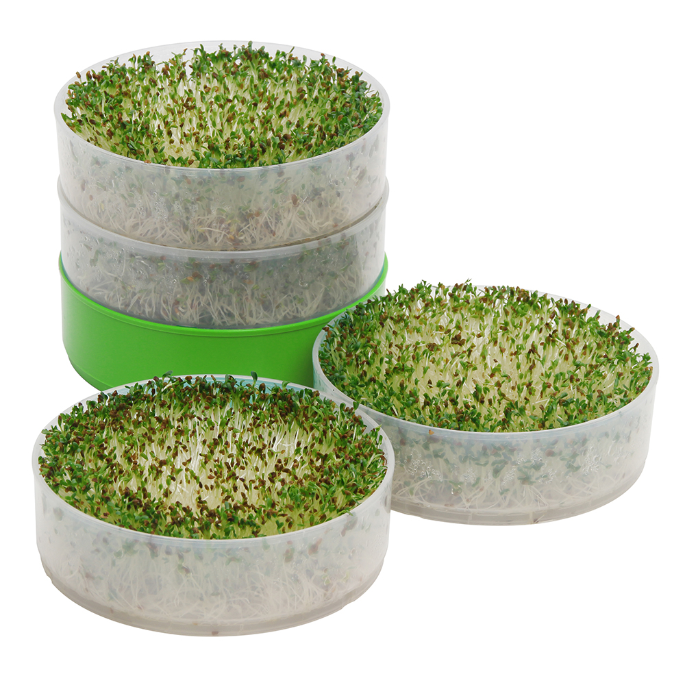 Deluxe Kitchen Crop Sprouter with Alfalfa & Broccoli Seeds