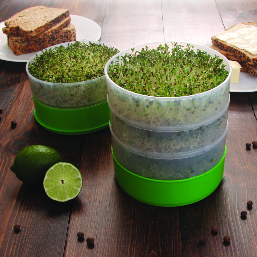 Deluxe Kitchen Crop Sprouter with Alfalfa & Broccoli Seeds